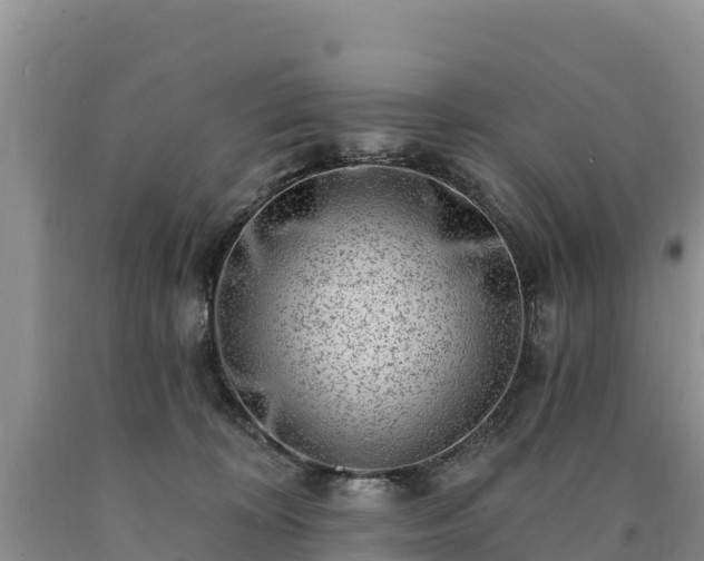 X0000090630324200707241158