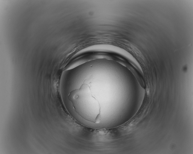 X0000090630329200707241158