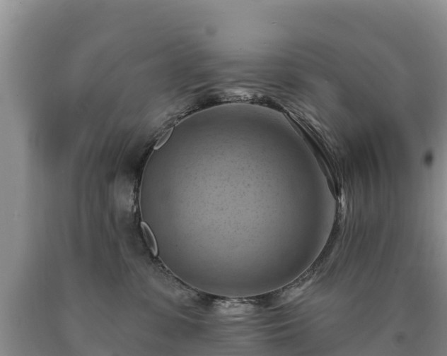 X0000090630331200707241158