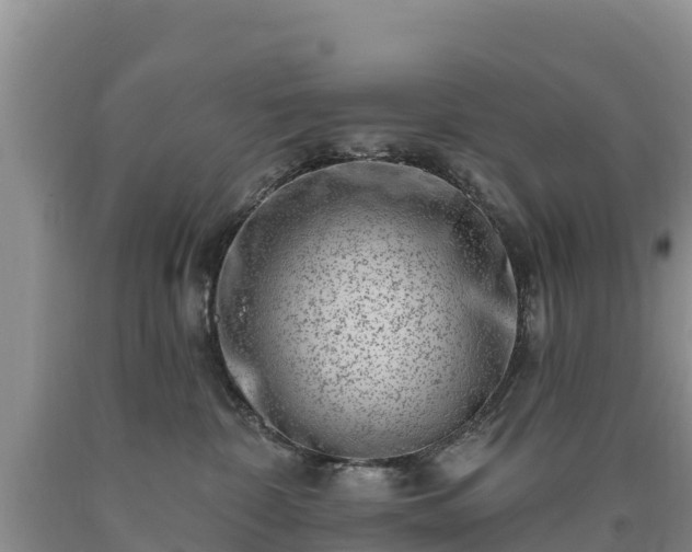 X0000090630332200707241158