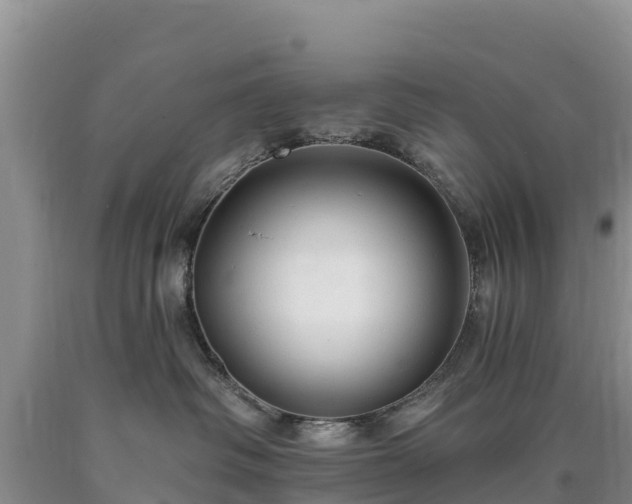 X0000090630334200707241158