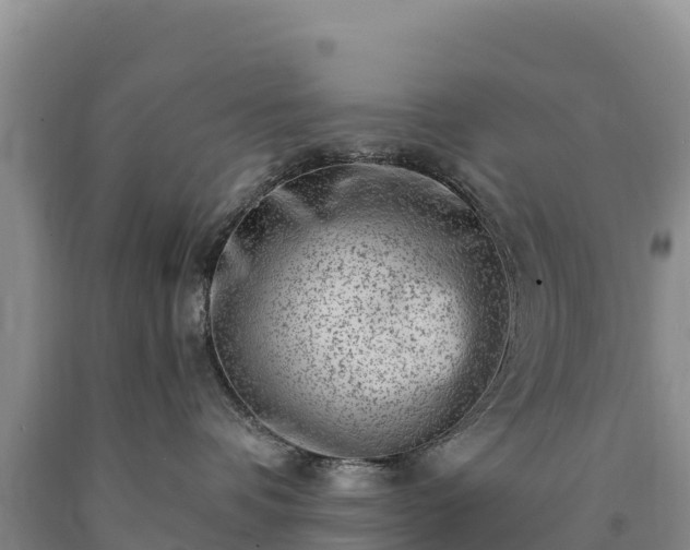 X0000090630336200707241158
