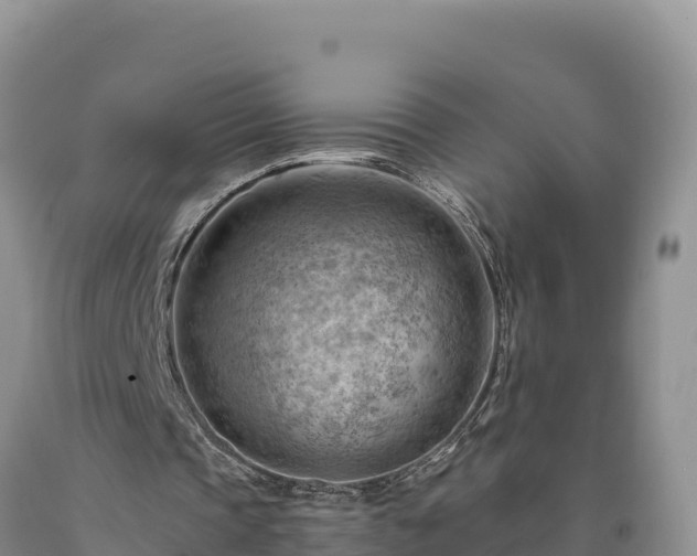X0000090630337200707241157