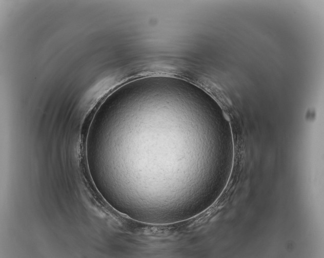 X0000090630338200707241157