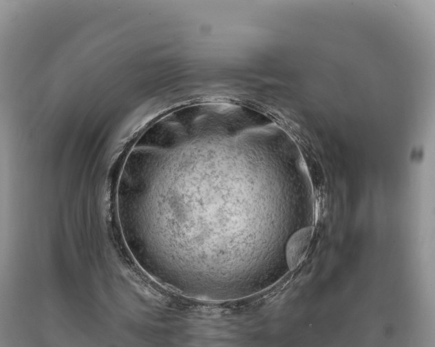 X0000090630339200707241157