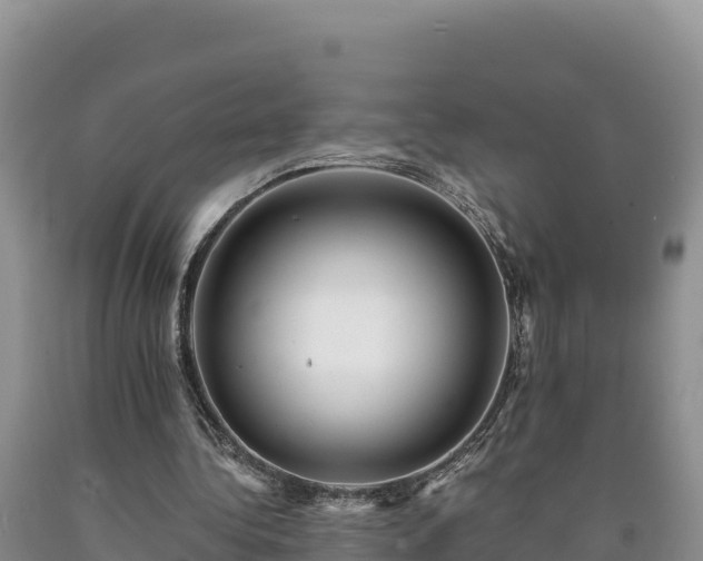 X0000090630340200707241157