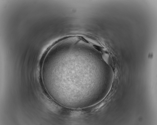X0000090630342200707241157