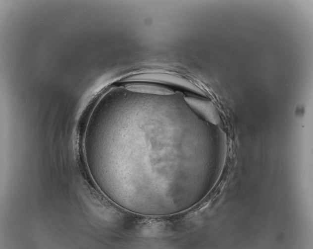 X0000090630343200707241157