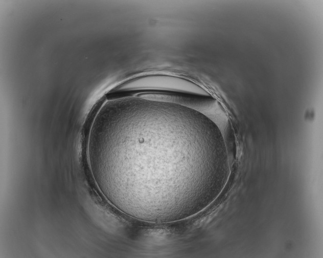 X0000090630344200707241157