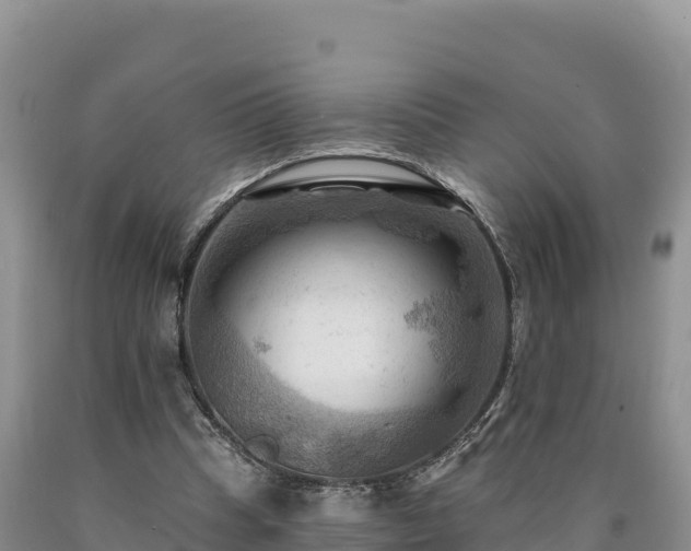 X0000090630345200707241157
