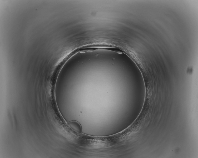 X0000090630347200707241157