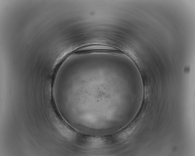 X0000090630349200707241157