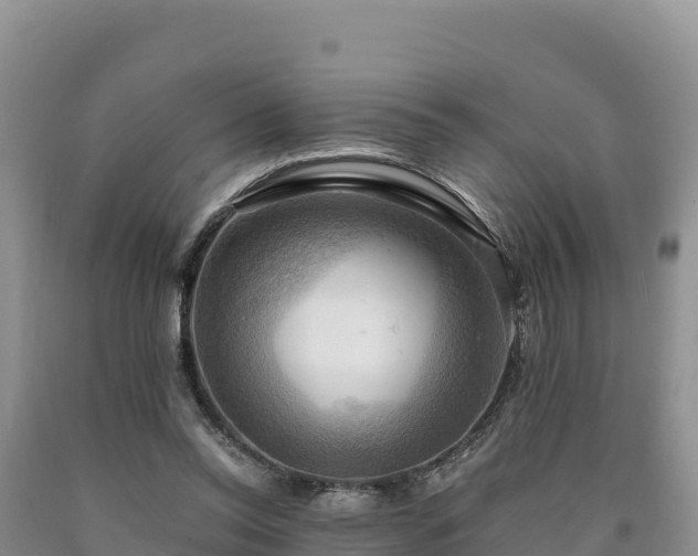 X0000090630350200707241157