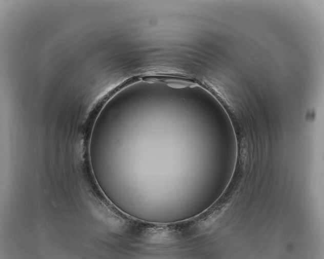 X0000090630351200707241157
