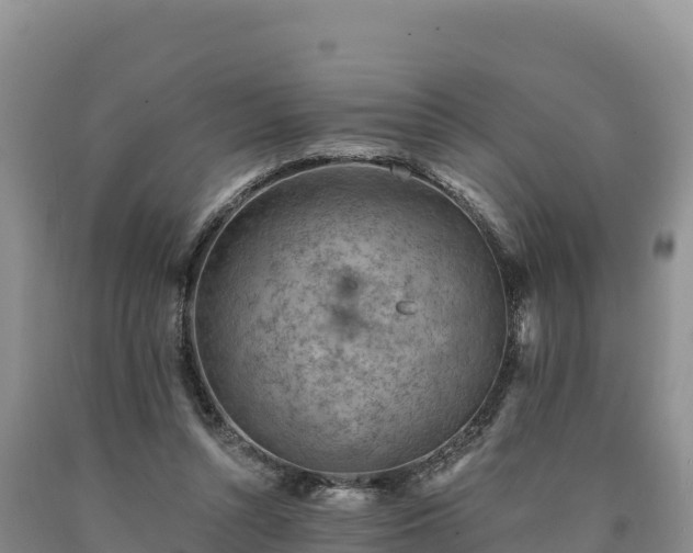 X0000090630352200707241157