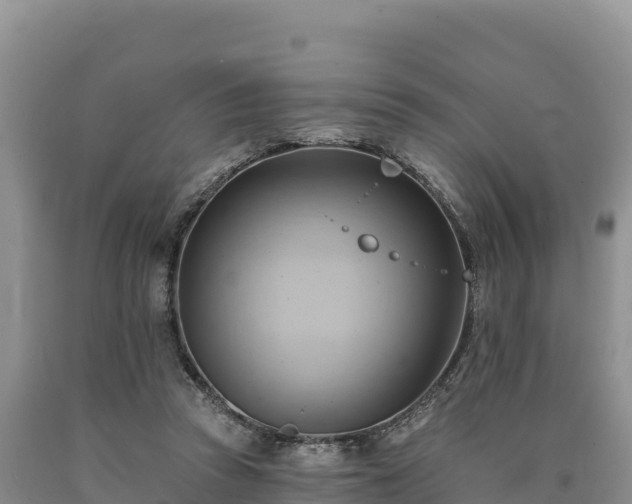 X0000090630353200707241157