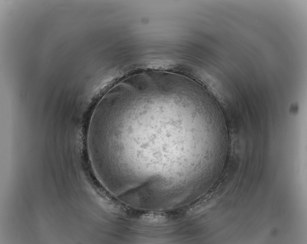 X0000090630354200707241157
