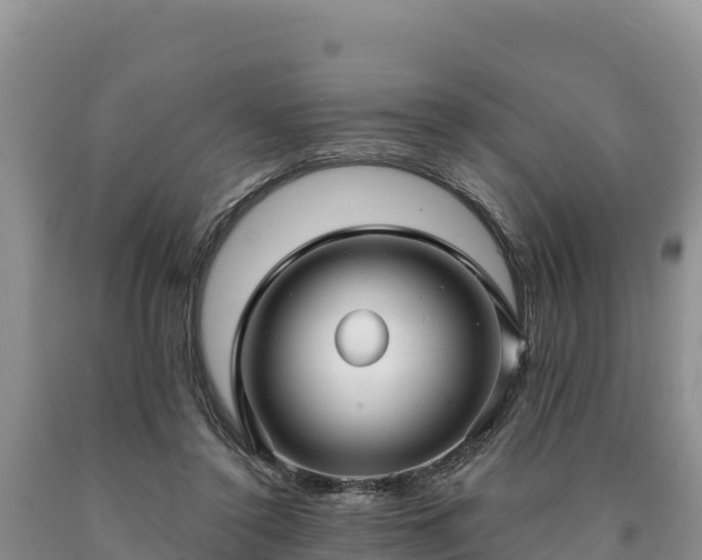 X0000090630356200707241157