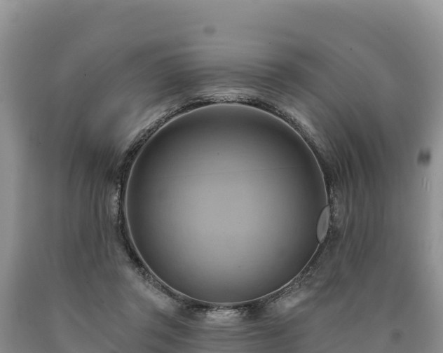 X0000090630357200707241157