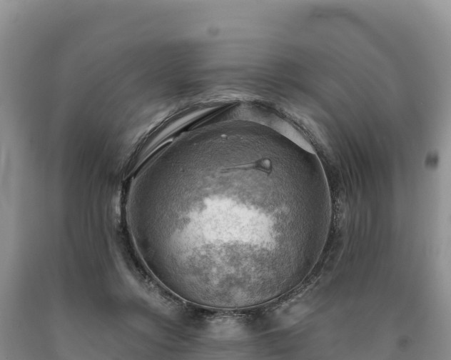 X0000090630358200707241157
