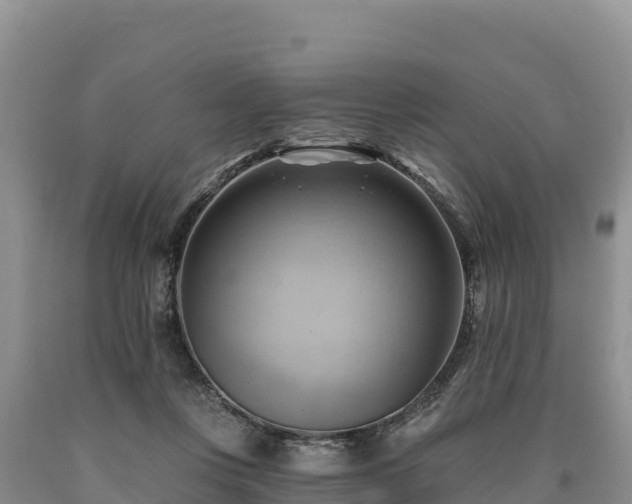 X0000090630359200707241158