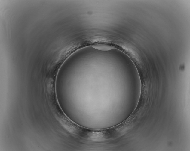 X0000090630361200707241158