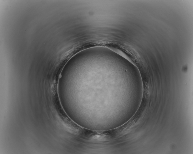 X0000090630364200707241158