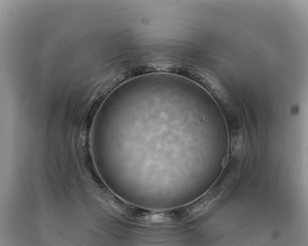 X0000090630365200707241158