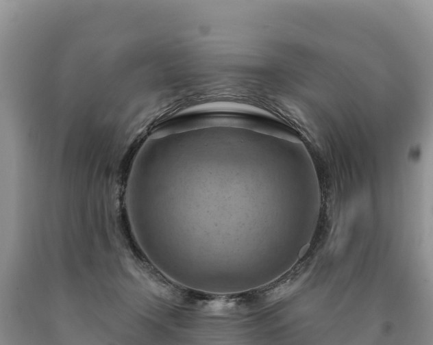 X0000090630366200707241158