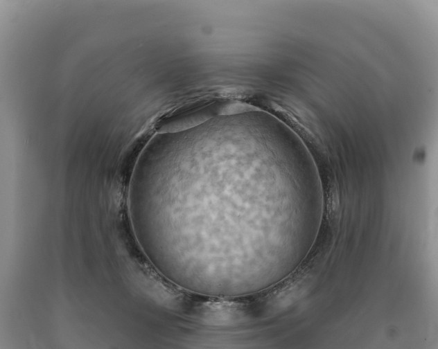 X0000090630367200707241158