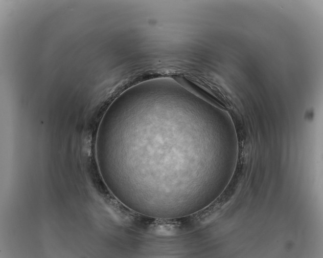 X0000090630368200707241158