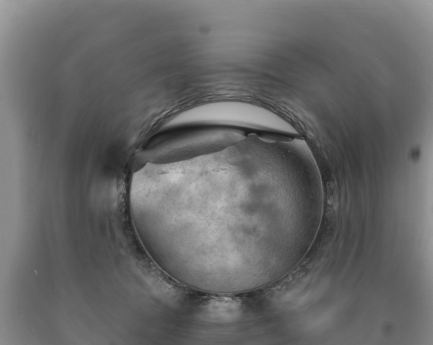 X0000090630369200707241158