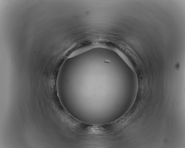 X0000090630372200707241158