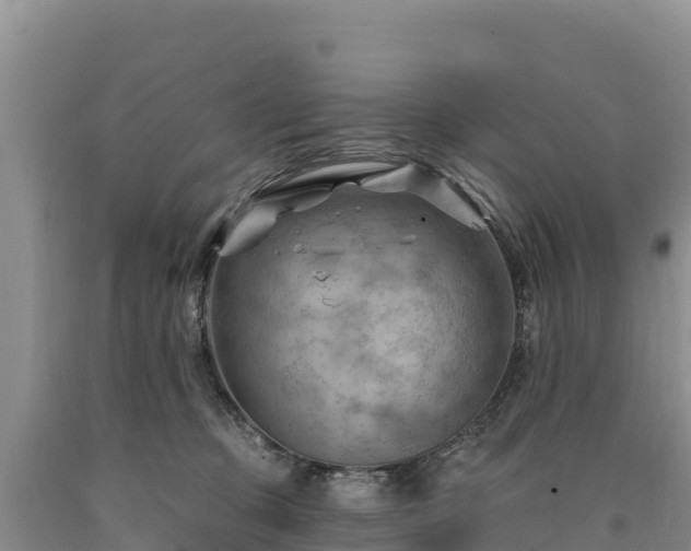 X0000090630373200707241158