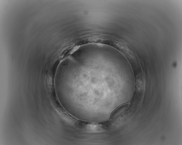 X0000090630375200707241158