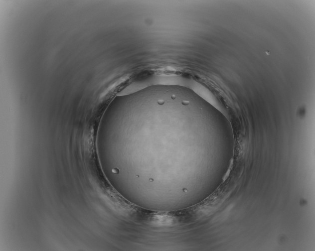 X0000090630376200707241158