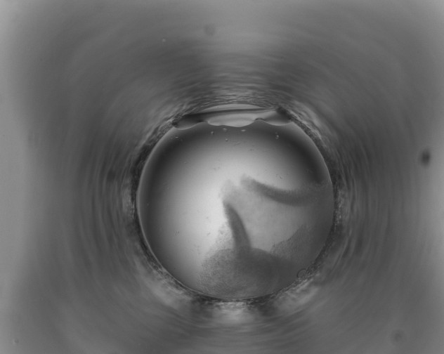 X0000090630377200707241158