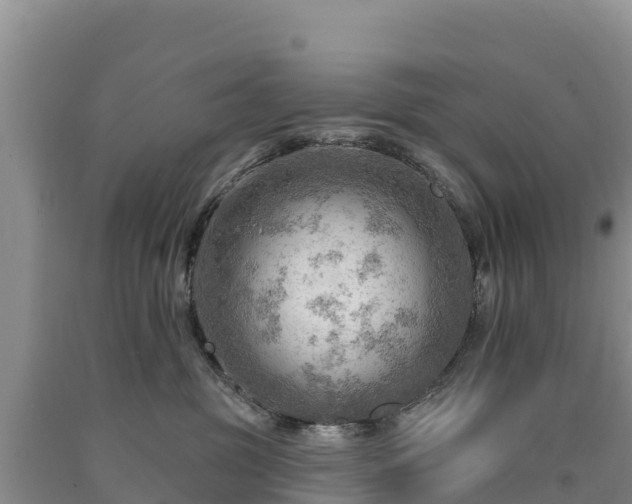 X0000090630381200707241158