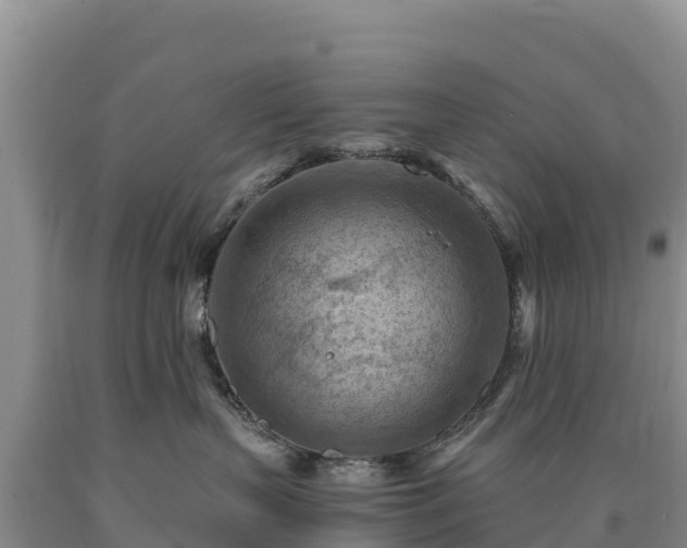 X0000090630383200707241158