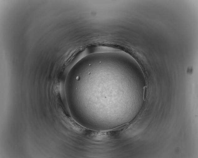 X0000090630384200707241158
