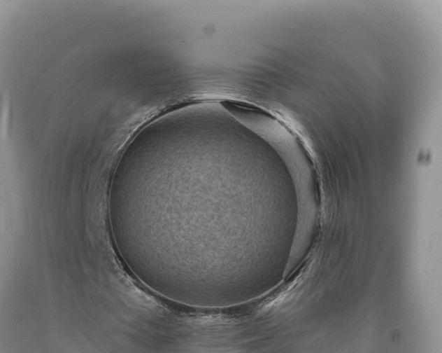 X0000090630385200707241157