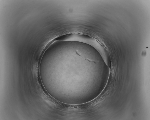 X0000090630386200707241157