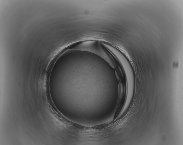 X0000090630387200707241157