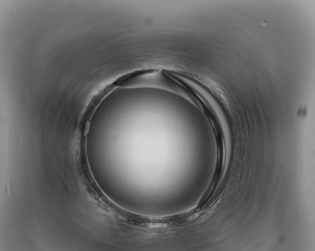 X0000090630388200707241157