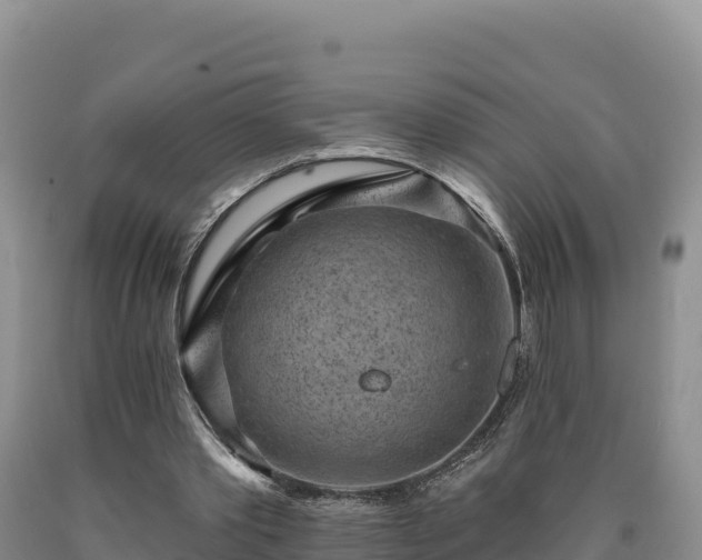 X0000090630389200707241157