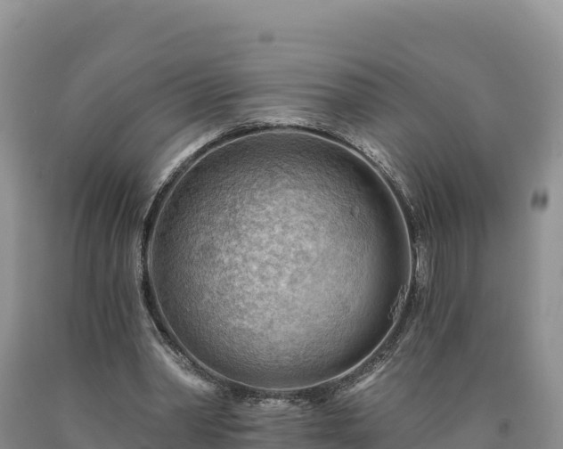 X0000090630390200707241157