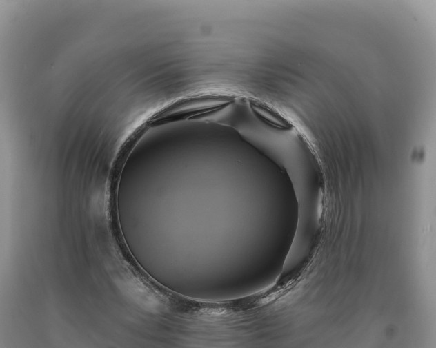 X0000090630391200707241157