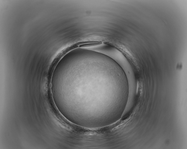 X0000090630392200707241157