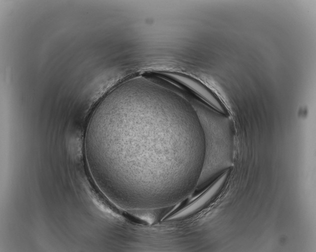 X0000090630393200707241157