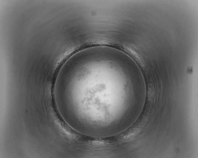 X0000090630394200707241157